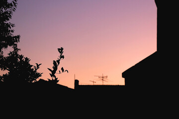 Silhouette of a tree branch in a garden and beautiful sunset sky. Selective focus. 