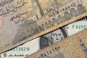 Fototapeta premium 25 and 50 piastres of Egypt and 1 US dollar banknotes