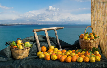 Fruits and landscapes from Italy: tarocco oranges and lemons with Mount Etna in the background