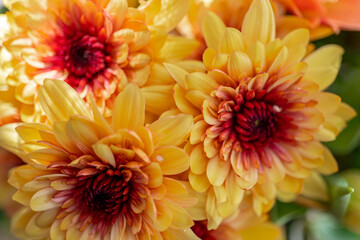 yellow, orange and red bouquet of roses, chrysanthemums and tulips