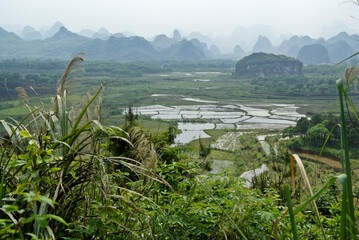 Rice paddies and karst peaks in the Yangshuo area of Guangxi Province, China