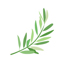 Olive branch botanical art design elements stock vector illustration for web, for print