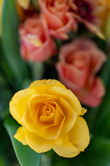 yellow, orange and red bouquet of roses, chrysanthemums and tulips