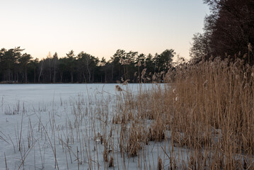 Typical polish winter landscape. Frozen lake during sunset. Selective focus.