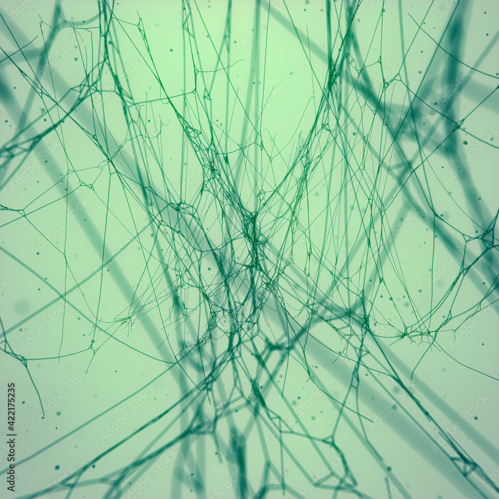 Poster spider web surrounded by flying particles. abstract scary foggy background. 3d rendering digital ill