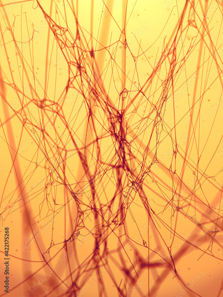 Poster mysterious cobweb surrounded by flying particles. abstract mystic backdrop. 3d rendering digital ill