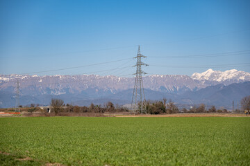 fresh green grass in the field with mountains in the background