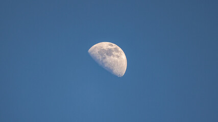 Waxing Gibbous Moon Phase in the Daytime