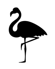 Vector black silhouette of a tropical flamingo bird isolated on a white background. © naddya