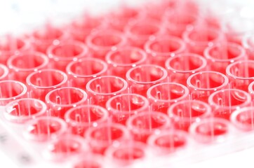 close up of a 96-well plate of blood samples - covid-19 test