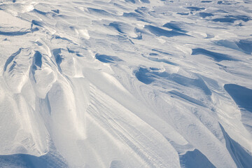 Snow texture. Wind sculpted patterns on snow surface. Wind in the tundra and in the mountains on the surface of the snow sculpts patterns and ridges (sastrugi). Arctic, Polar region. Winter background