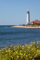 A tall white lighthouse stands on the seashore. Yellow flowers grow in the foreground