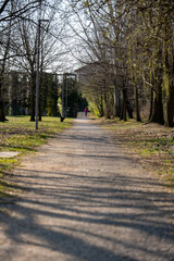 Fototapeta na wymiar bike path in the park in early spring, no people