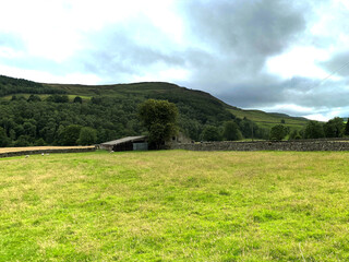 Small shed, in the corner of a large field, with sheep and a forest in the background, on a cloudy day near, Burnsall, Skipton, UK