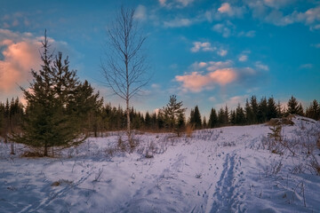 Beautiful winter landscape in the mountains. Sunrise. Fantastic winter landscape during sunset.