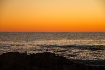 Sunrise over the Atlantic Ocean on Marginal Way