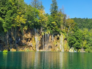 lake and forest