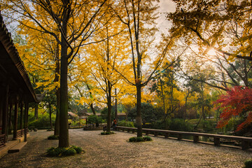 Fototapeta premium autumn in the park