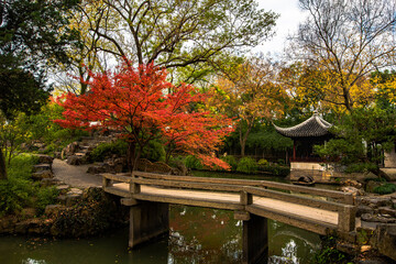 Fototapeta premium autumn in the park