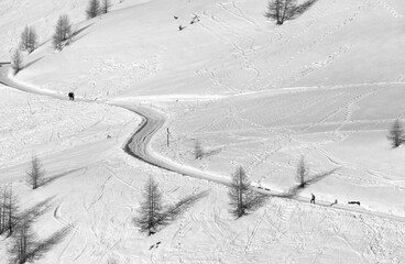 Passo d'Eira, Livigno - Traces in the pristine snow snow
