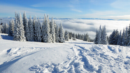 Obraz premium Alpine Heaven 191201