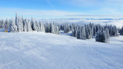 Obraz premium Winter Wonderland 191205