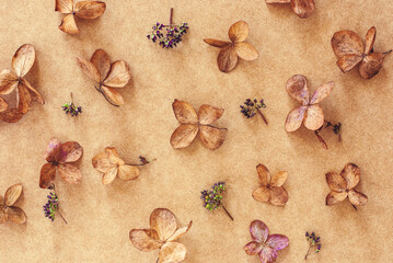Organic floral background with dry flowers on brown craft paper