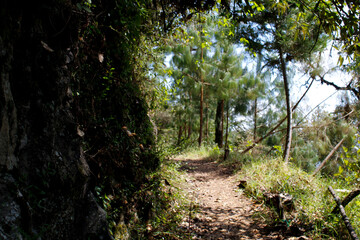 Camino