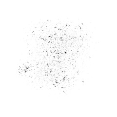 Grainy Distress Grunge Brush Texture. Cracked Noisy Surface. Overlay Grainy Style Texture. Black and White Background