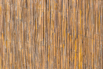 Light yellow reed interior handmade wall texture background