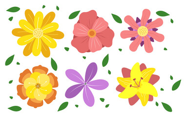 Collection set Autumn Leaves and Flowers 