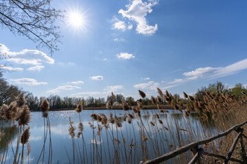 Paesaggio lago e fiume, con cielo blu, sole e nuvole.