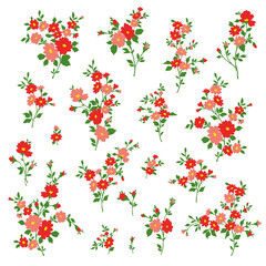 Beautiful flower illustration material collection,