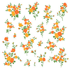 Beautiful flower illustration material collection,