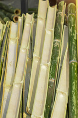 Bamboo trunk is commonly used to make bales of rice, home appliances and wickerwork in many countries in Asia.