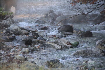 岩場を激しく流れる川