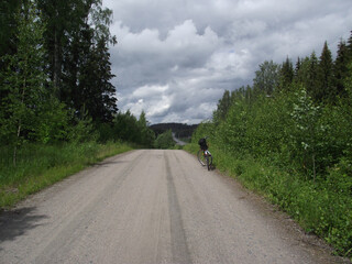 Obraz premium road in the woods