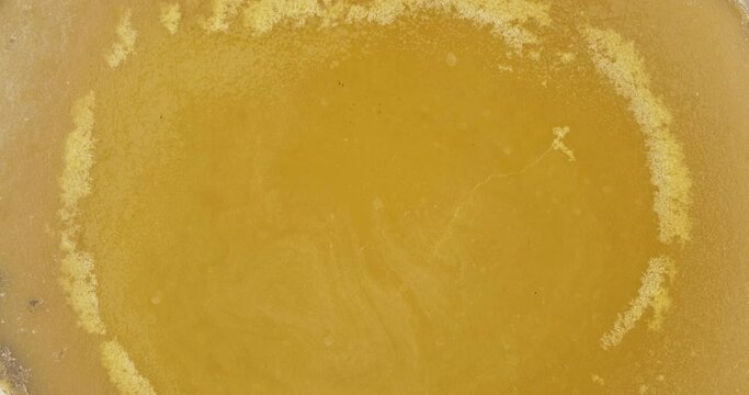 Rotation of natural beeswax. Close-up. Natural beeswax melted from honeycomb. Beeswax background and texture.