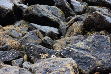Naklejka na ściany i meble rocks in the beach