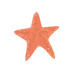 Sea starfish icon