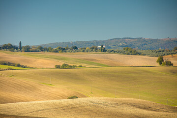 landscape with agricultural field and hills