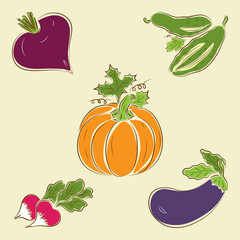 Vector set of vegetables: beet, cucumber, pumpkin, radish, eggplant
