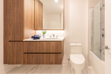 modern bathroom with wood vanity