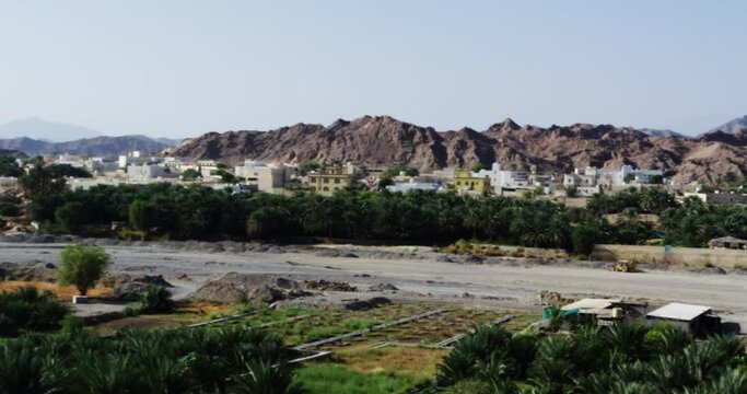 Palm tree plantation in front of arid hills in Fanja, Oman, wide shot pan right