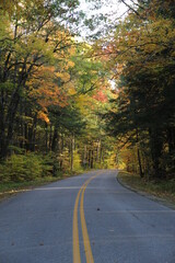Fototapeta premium Colorful Autumn Road through the Forest