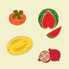 Set of fruits: persimmon, watermelon, melon, pomegranate
