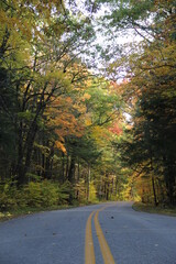 Fototapeta premium Colorful Autumn Road through the Forest