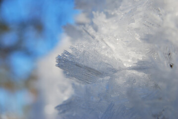 Last ice