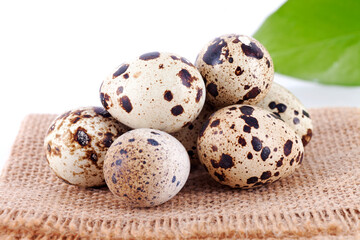 A pile of quail eggs