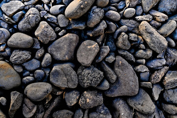 Collection of wet and dry stones, top view image showing variety of minerals in many shapes and colors.